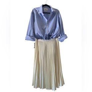 Dressy Pleated Skirt